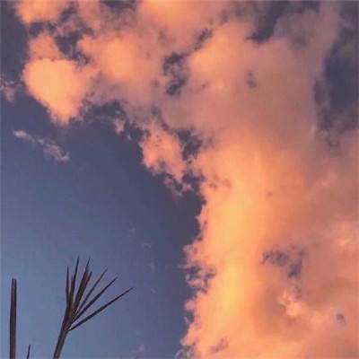 金沙集团1862成色